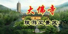 簧片肏美女中国浙江-新昌大佛寺旅游风景区